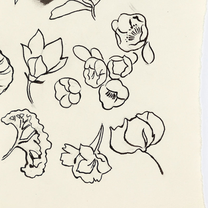Andy Warhol "Family of Flowers" c. 1955. Still life ink drawing of flowers from Andy Warhol's pre-Pop illustration era.