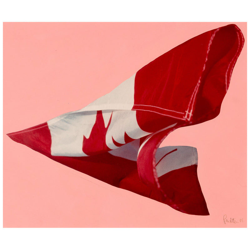 Charles Pachter "Pink Preparatory Flag", 1981. Set on a pink handpainted background, this work on paper features a photograph of the Canadian flag blowing in the wind.