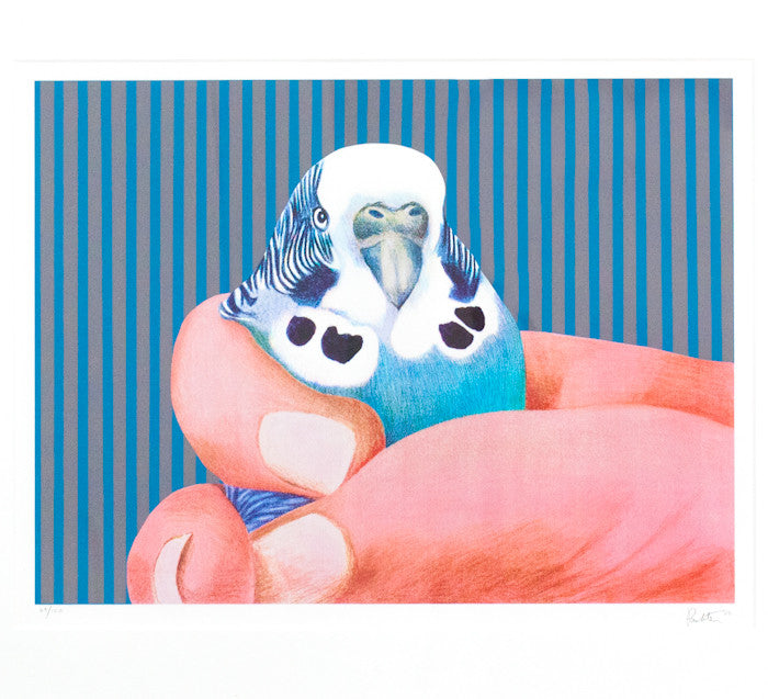 Charles Pachter, prints, graphics, bird, Caviar20