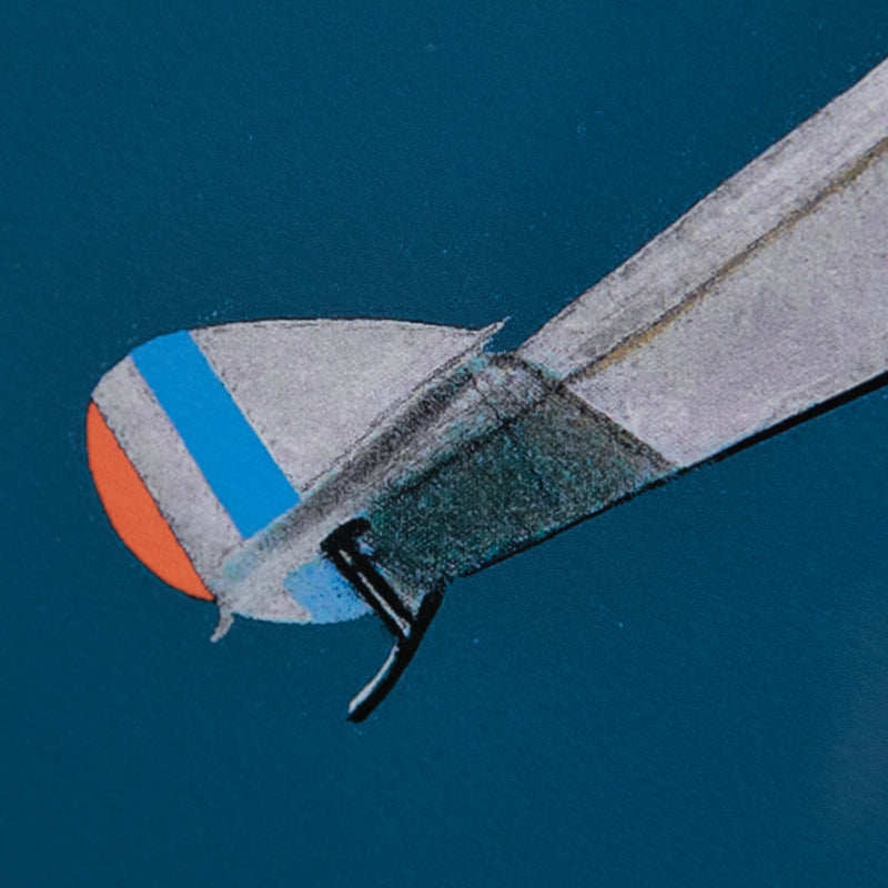Charles Pachter, Airborne, 2014, Giclee Print, close-up
