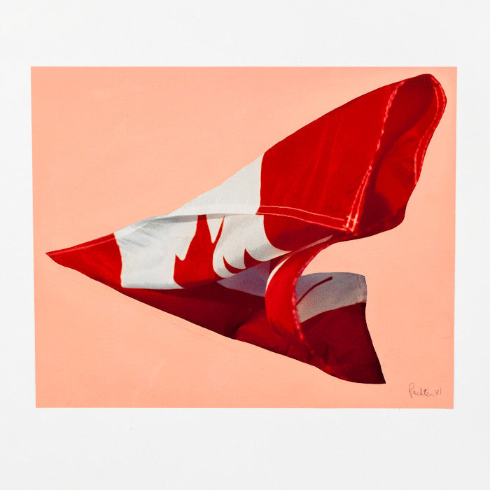 CHARLES PACHTER "PAINTED FLAG: PAINTED FLAG PREPATORY #3"