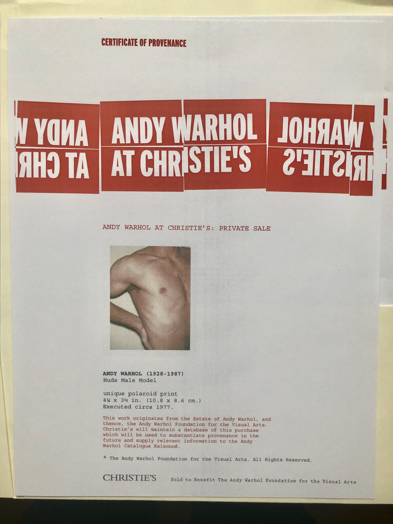 ANDY WARHOL "TORSO X" POLAROID, 1977