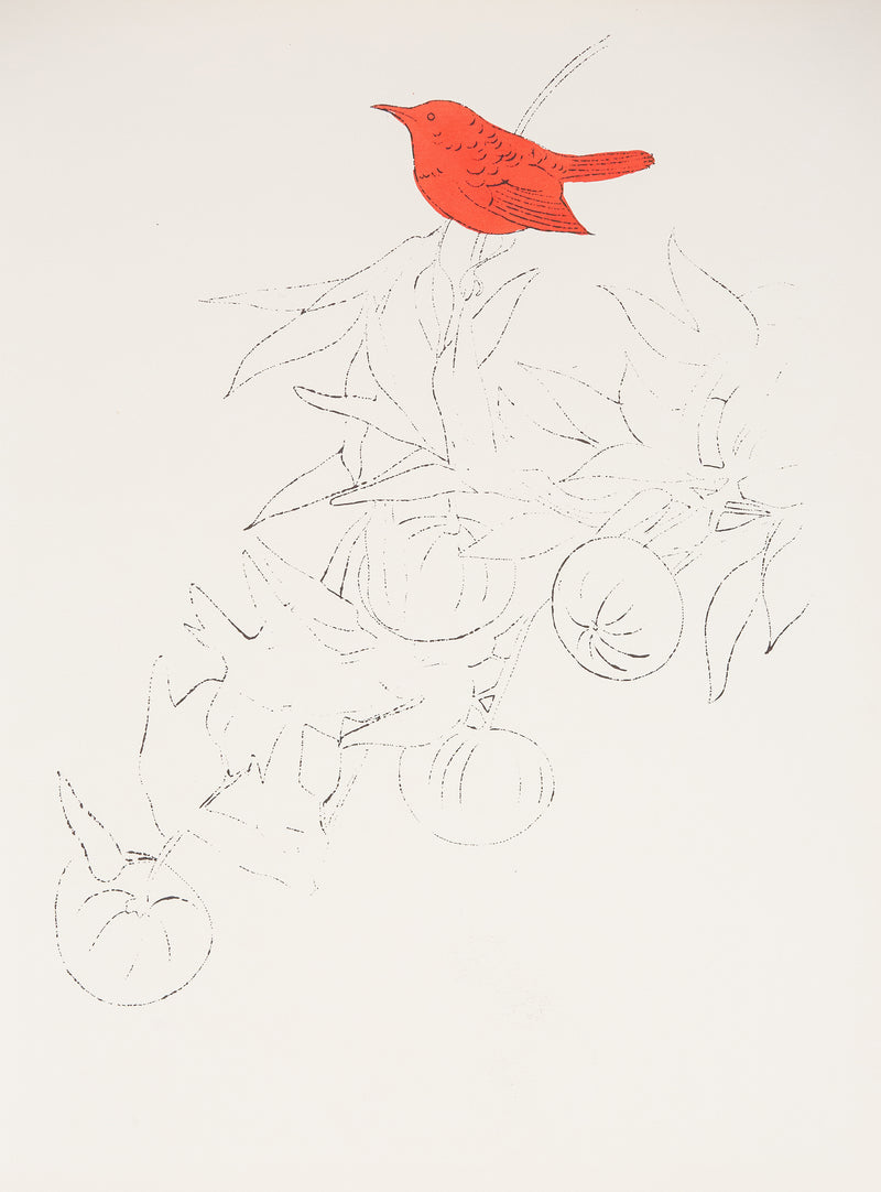 Andy Warhol artwork for sale, "Bird on a Fruit Branch" 1957. “Bird on a Fruit Branch” is emblematic of Warhol’s work during the late 1950s when he established his reputation with delicate and whimsical drawings of clothes, accessories, and stylized beauties in a distinctively elegant but playful aesthetic.