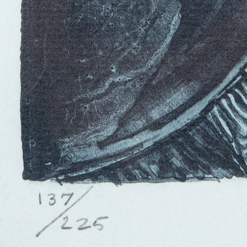 Jasper Johns, Summer Blue, Lithograph, 1991, Caviar20,  Caviar20 prints, closeup showing edition number