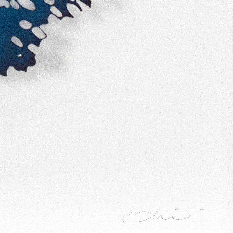 Lizz Aston, Blue Apatite, Hand cut paper, 2018, Caviar 20, close-up showing signature