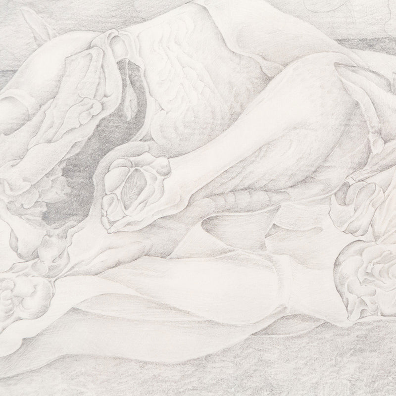 Mary Pratt "Study for Eviscerated Chickens" Drawing, 1971. Pencil on paper. Mary  Pratt portrays the obscenities of domestic life by rendering entrails of a raw chicken. A boisterous floral wallpaper serves as a lively backdrop to this otherwise grotesque scene.
