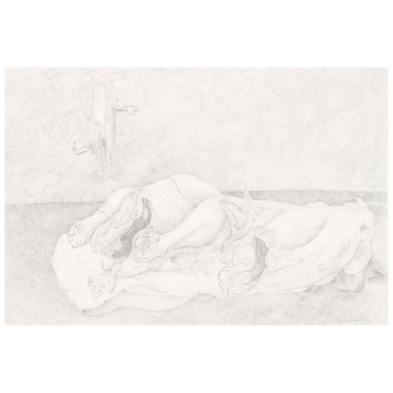 Mary Pratt "Study for Eviscerated Chickens" Drawing, 1971. Pencil on paper. Mary  Pratt portrays the obscenities of domestic life by rendering entrails of a raw chicken. A boisterous floral wallpaper serves as a lively backdrop to this otherwise grotesque scene.