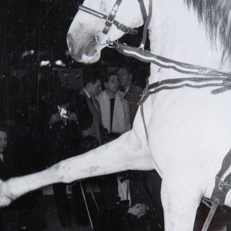 Weegee, black and white photograph, Horses, Circus, 1948