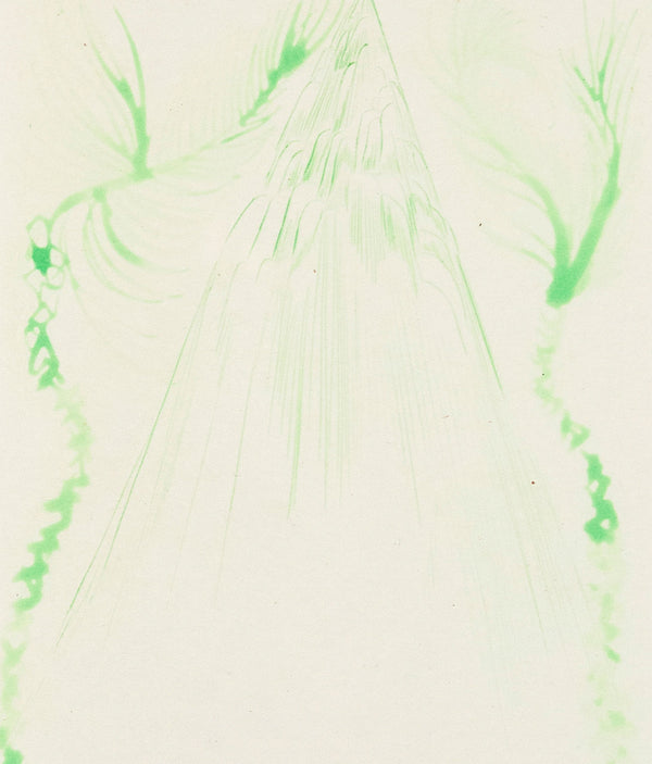 Chris Ofili "Green Riann" Aquatint, 2008