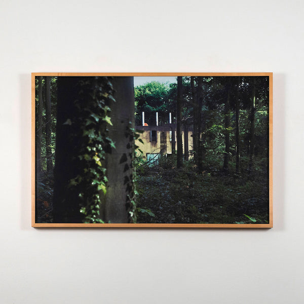 Peter Doig "Through the Woods" C-print, 2000. Contemporary Art by Peter Doig - Summer Landscape Photograph in Natural Wooden Frame.