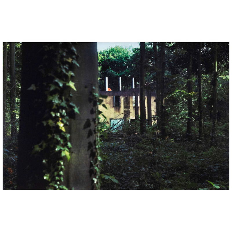 Peter Doig "Through the Woods" C-print, 2000. Idyllic Summer Lake Scene Photograph by Peter Doig - Abandoned building amongst lush forestry.