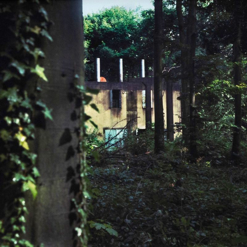 Peter Doig "Through the Woods" C-print, 2000. Tranquil Summer Forest Photograph by Peter Doig - Sunny Day Wilderness Art.