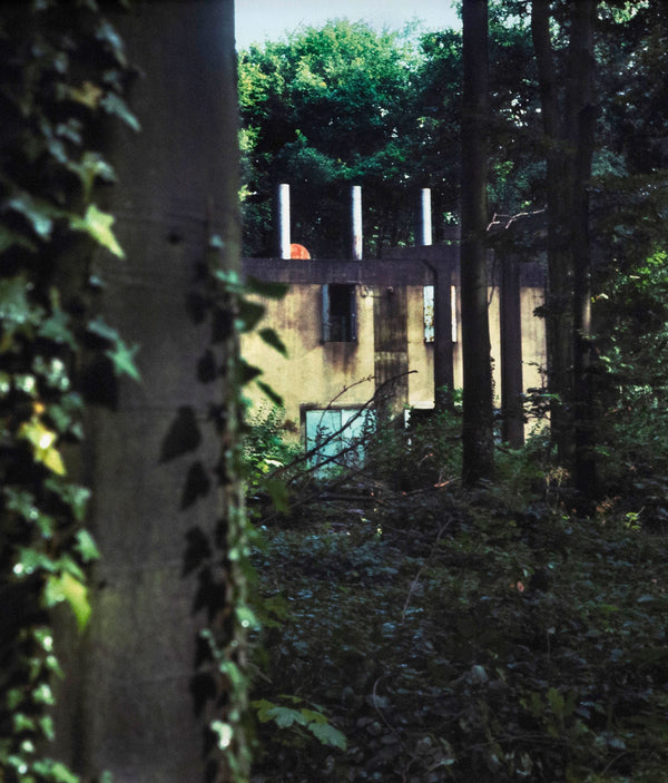 Peter Doig "Through the Woods" C-print, 2000. Summer Landscape Photograph - Vibrant Summer Forest Artwork. 