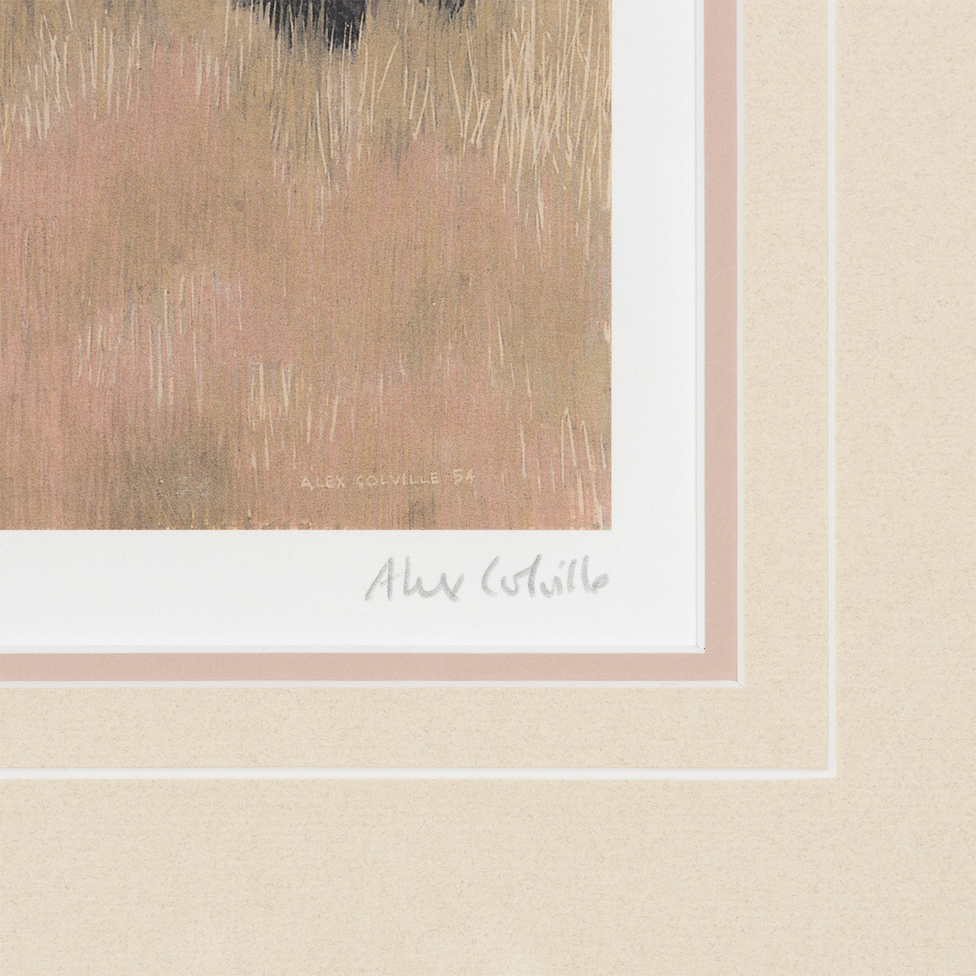 ALEX COLVILLE 