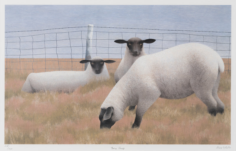 alex colville three sheep lithograph limited edition wildlife canadian artist iconic art artwork painter east coast nova scotia maritimes painting national gallery 