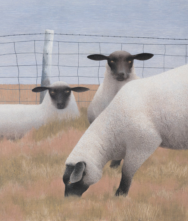 alex colville three sheep lithograph limited edition wildlife canadian artist iconic art artwork painter east coast nova scotia maritimes painting national gallery 