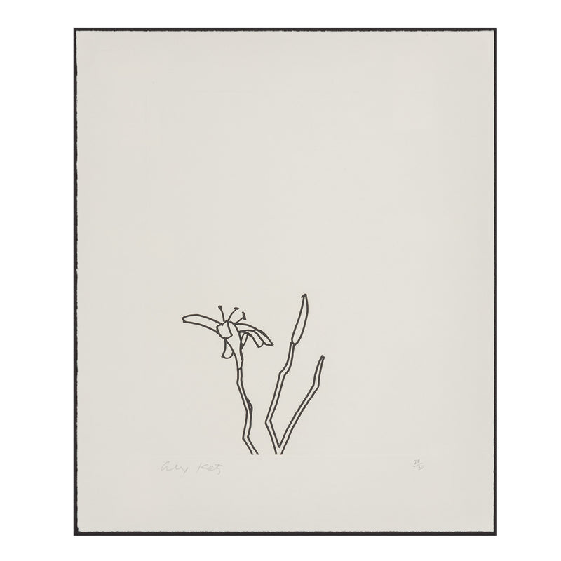 ALEX KATZ "EDGES (SHEET 1)" ETCHING, 1997