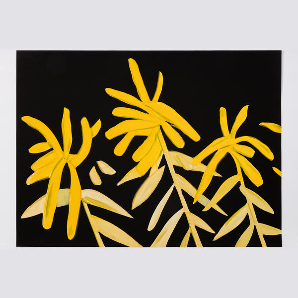 alex katz goldenrod print flowers portfolio printmaking archival inkjet laser print limited edition iconic american artist living caviar20 buy american artwork buy alex katz flowers maine floral portrait yellow black dark colours colors vibrant color colour 
