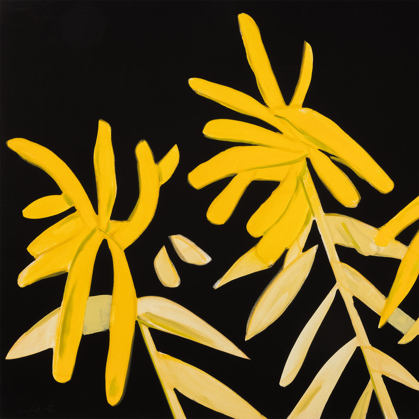 ALEX KATZ 