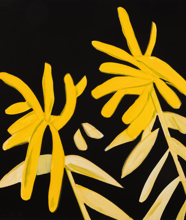alex katz goldenrod print flowers portfolio printmaking archival inkjet laser print limited edition iconic american artist living caviar20 buy american artwork buy alex katz flowers maine floral portrait yellow black dark colours colors vibrant color colour 