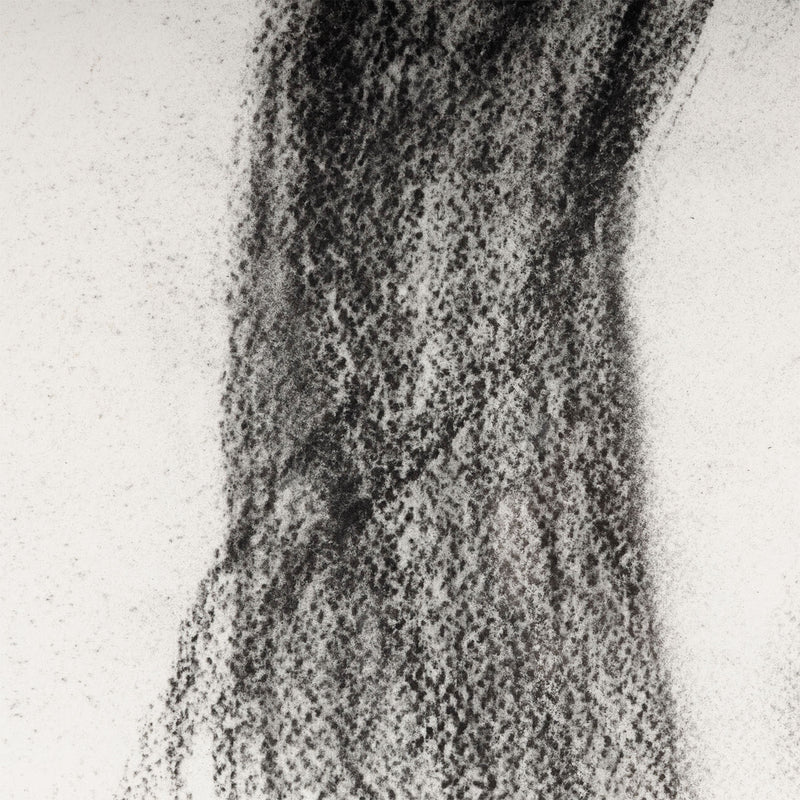 ALEX KATZ "MICHELE" CHARCOAL, 2005