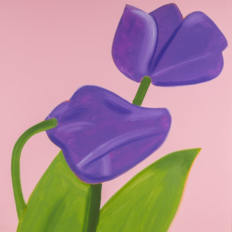 alex katz purple tulips 1 print flowers portfolio printmaking archival inkjet laser print limited edition iconic american artist living caviar20 buy american artwork buy alex katz flowers maine floral portrait purple pink green spring fresh pastels