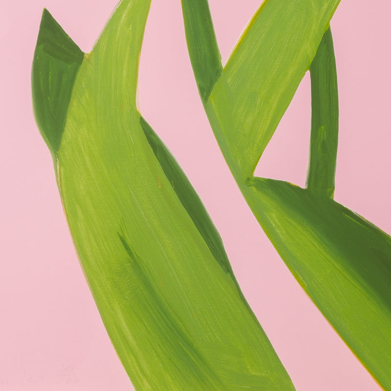 alex katz purple tulips 1 print flowers portfolio printmaking archival inkjet laser print limited edition iconic american artist living caviar20 buy american artwork buy alex katz flowers maine floral portrait purple pink green spring fresh pastels