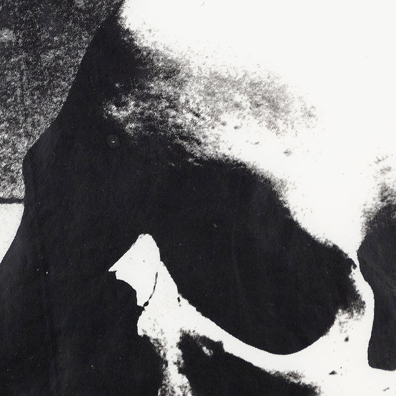 ANDY WARHOL "SKULL" SCREENPRINT, 1976