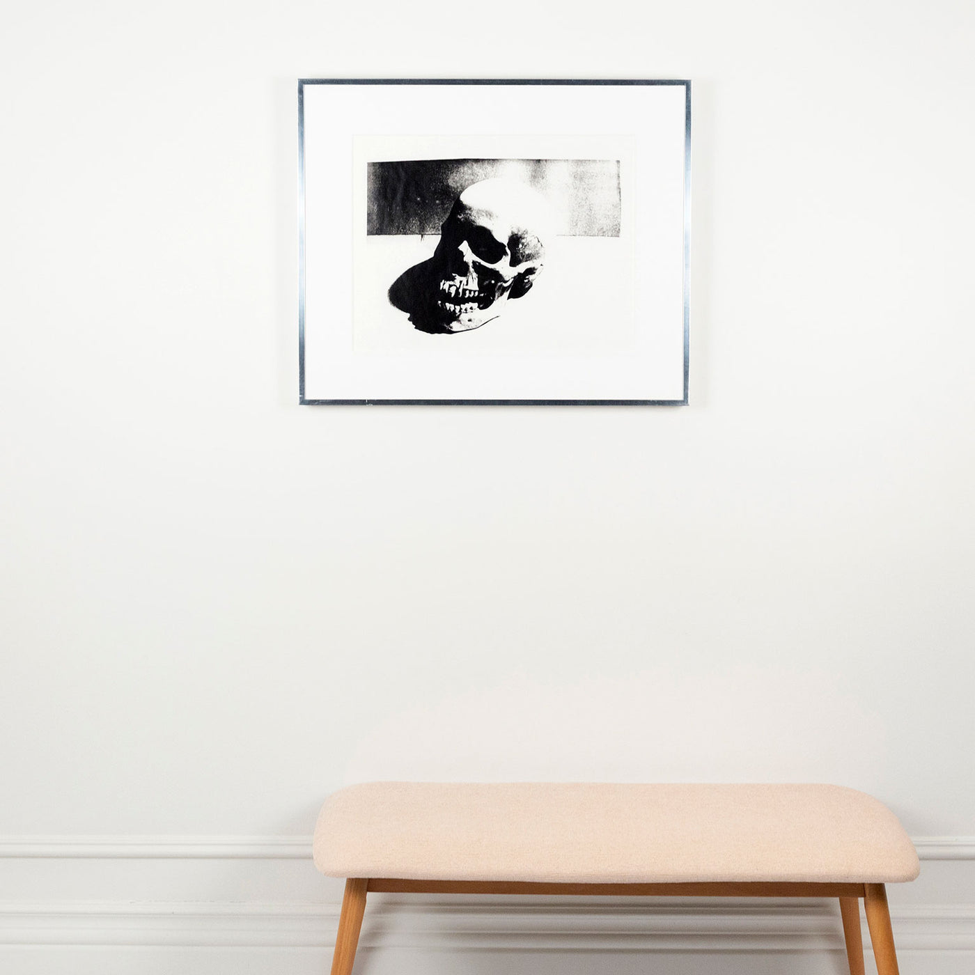 Skull (white) 1976 exhibition