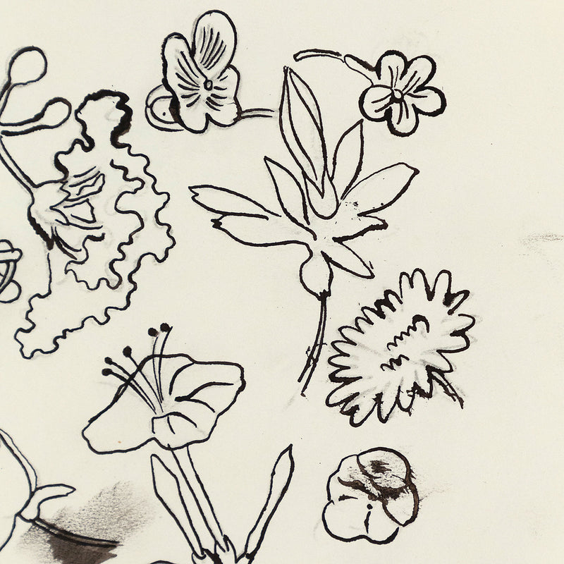 Andy Warhol "Family of Flowers" c. 1955. Still life ink drawing of flowers from Andy Warhol's pre-Pop illustration era.