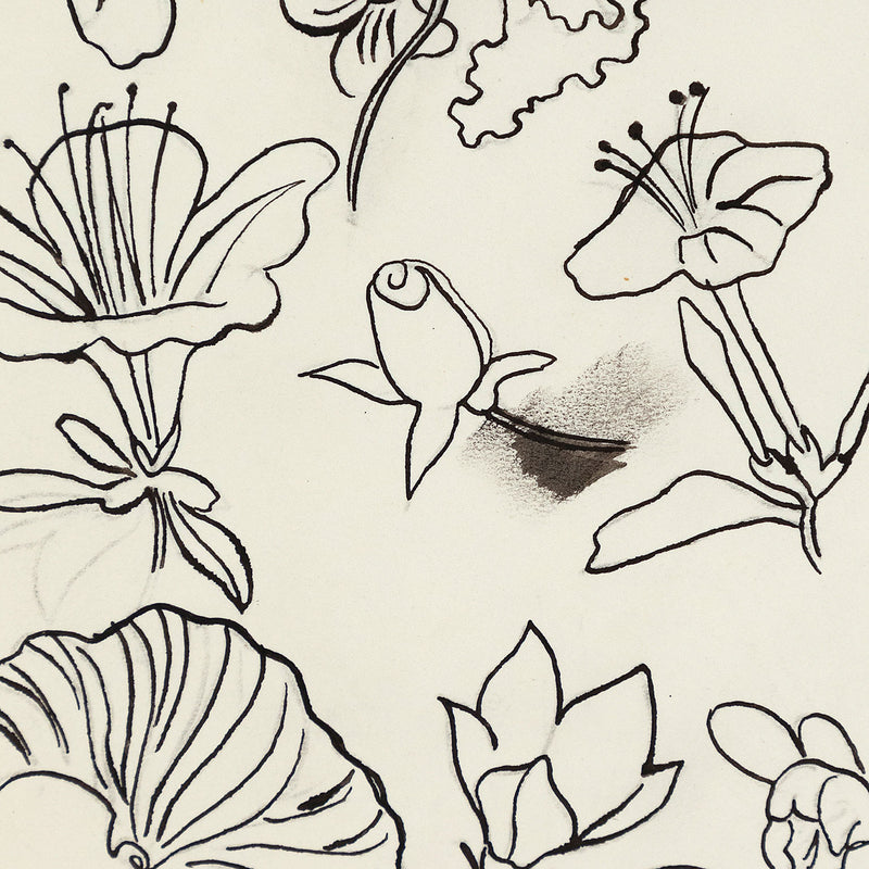 Andy Warhol "Family of Flowers" c. 1955. Still life ink drawing of flowers from Andy Warhol's pre-Pop illustration era.