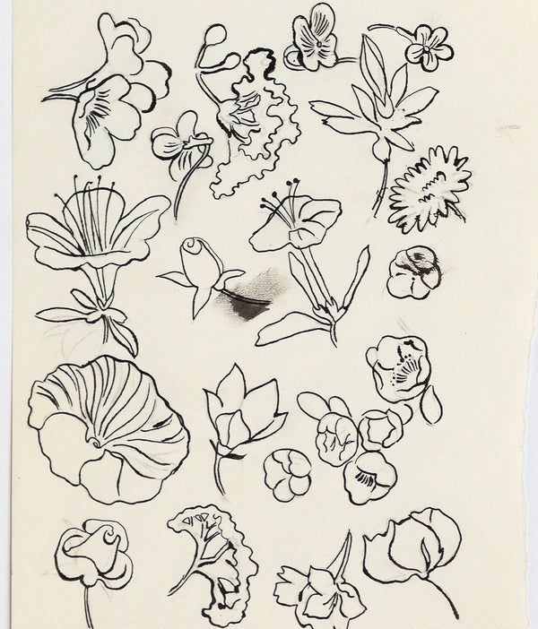 Andy Warhol "Family of Flowers" c. 1955. Still life ink drawing of flowers from Andy Warhol's pre-Pop illustration era.