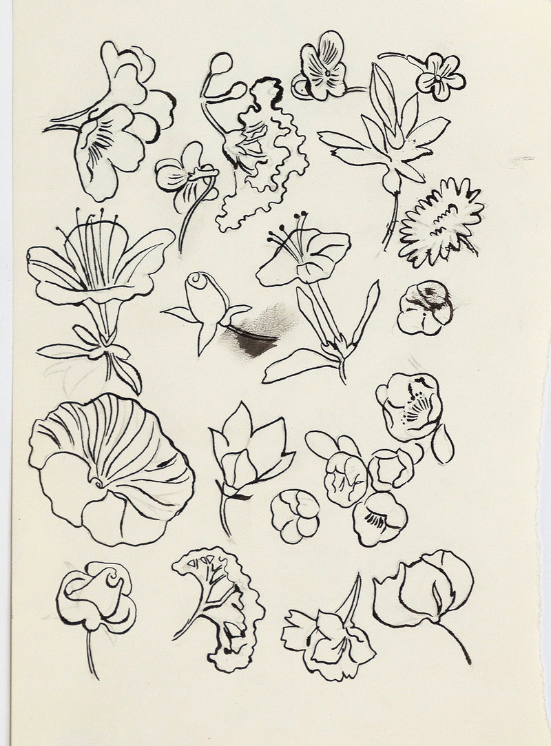 Andy Warhol "Family of Flowers" c. 1955. Still life ink drawing of flowers from Andy Warhol's pre-Pop illustration era.