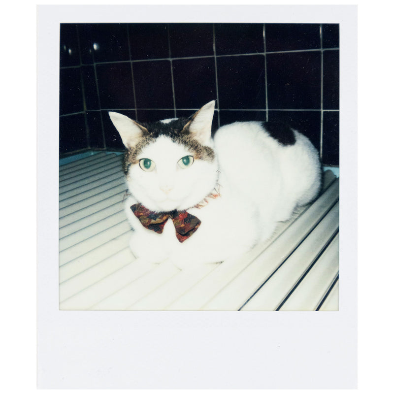 NOBUYOSHI ARAKI "CHIRO" + "TABLETOP" POLAROIDS, 2000