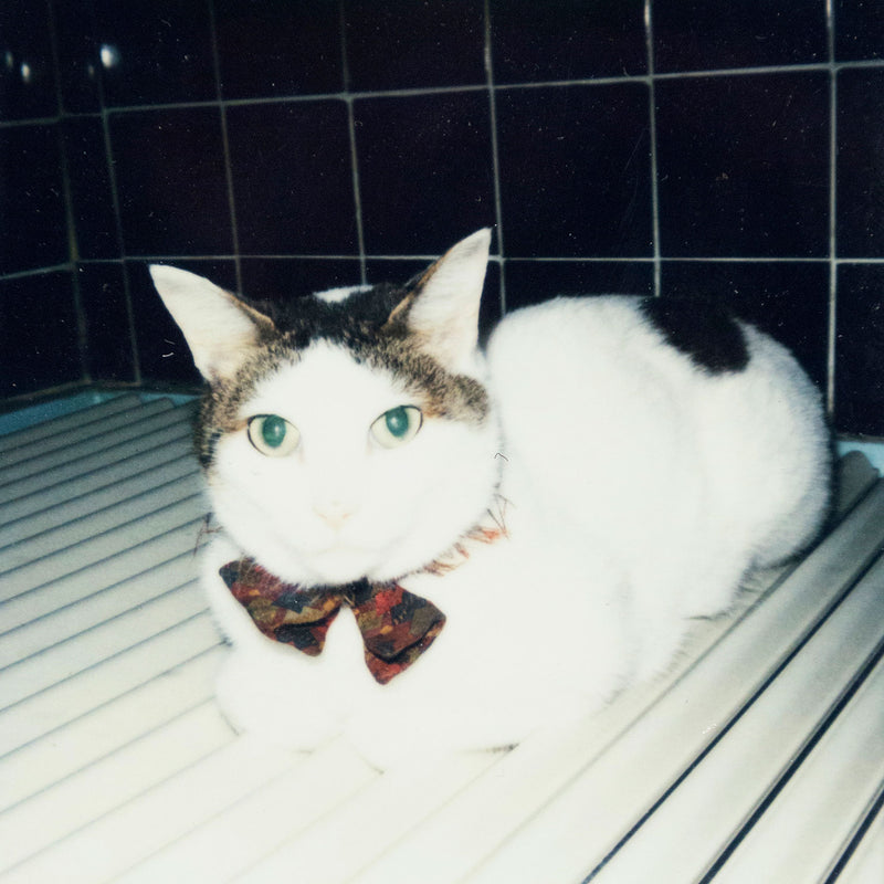 NOBUYOSHI ARAKI "CHIRO" + "TABLETOP" POLAROIDS, 2000