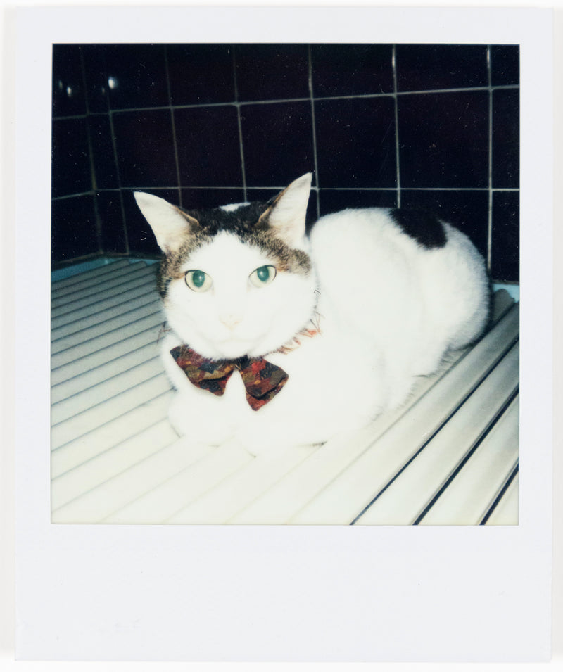 NOBUYOSHI ARAKI "CHIRO" + "TABLETOP" POLAROIDS, 2000