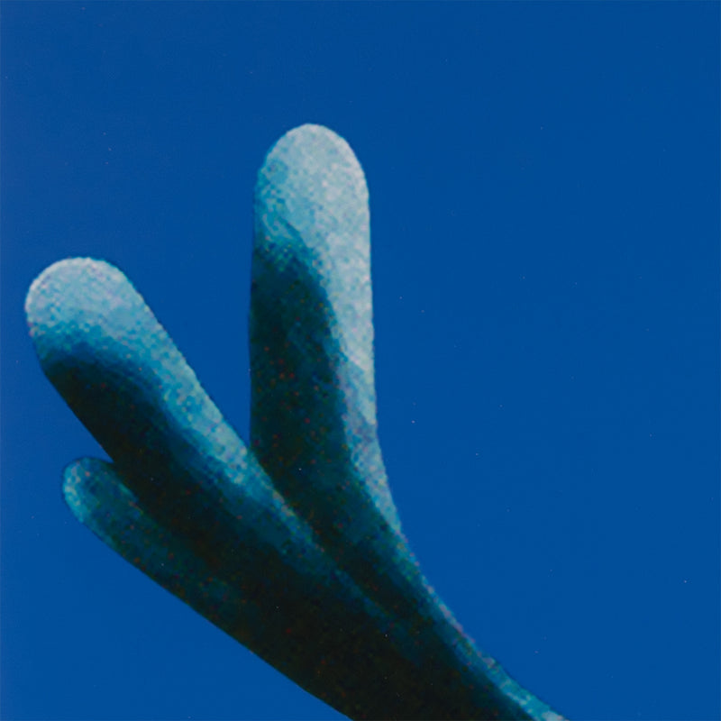 charles pachter joy ride moose queen print limited edition giclee canadian artwork canadian artist blue moose queen elizabeth II charlie pachter art collect pachter buy pachter sell pachter art iconic image