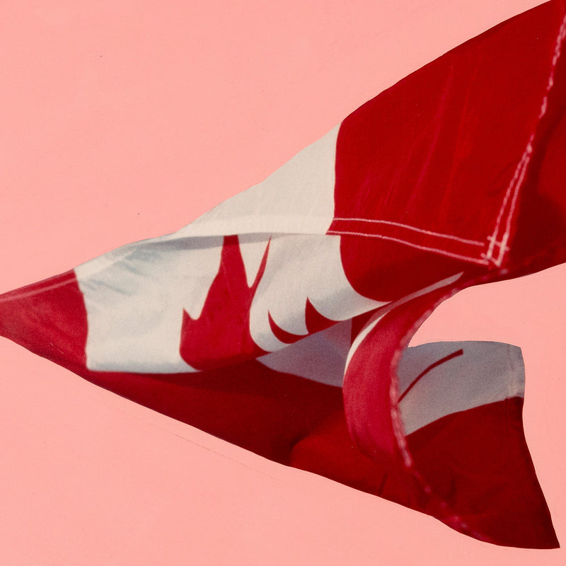 Charles Pachter "Pink Preparatory Flag", 1981. Set on a pink handpainted background, this work on paper features a photograph of the Canadian flag blowing in the wind.