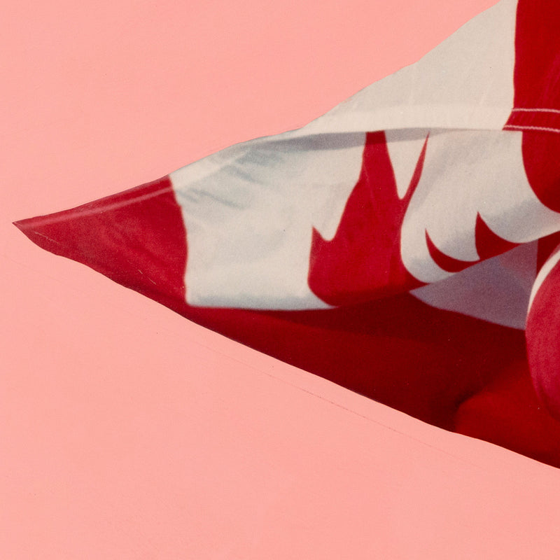 Charles Pachter "Pink Preparatory Flag", 1981. Set on a pink handpainted background, this work on paper features a photograph of the Canadian flag blowing in the wind.