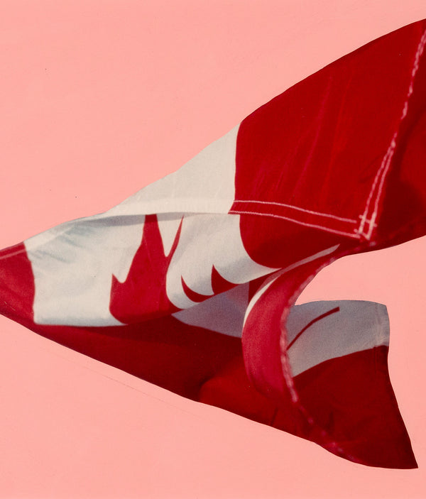 Charles Pachter "Pink Preparatory Flag", 1981. Set on a pink handpainted background, this work on paper features a photograph of the Canadian flag blowing in the wind.