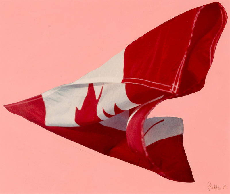 Charles Pachter "Pink Preparatory Flag", 1981. Set on a pink handpainted background, this work on paper features a photograph of the Canadian flag blowing in the wind.