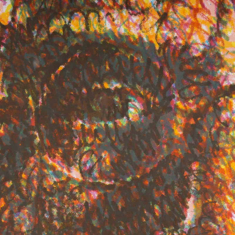 chuck close self-portrait lincoln center 2007 limited edition print edition lithograph and screenprint work on paper collect chuck close american artist buy chuck close artwork sell chuck close artwork 