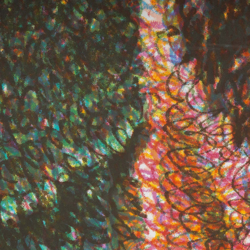 chuck close self-portrait lincoln center 2007 limited edition print edition lithograph and screenprint work on paper collect chuck close american artist buy chuck close artwork sell chuck close artwork 