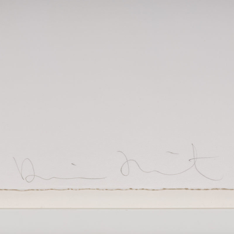 DAMIEN HIRST "RING-A-RING OF ROSES" ETCHING, 2002