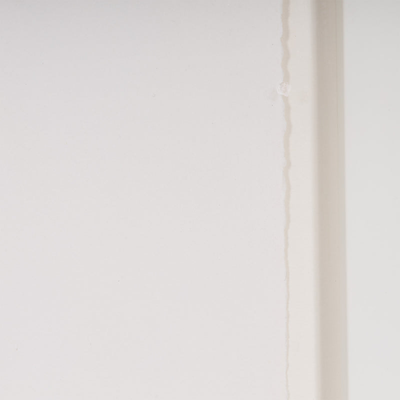 DAMIEN HIRST "RING-A-RING OF ROSES" ETCHING, 2002