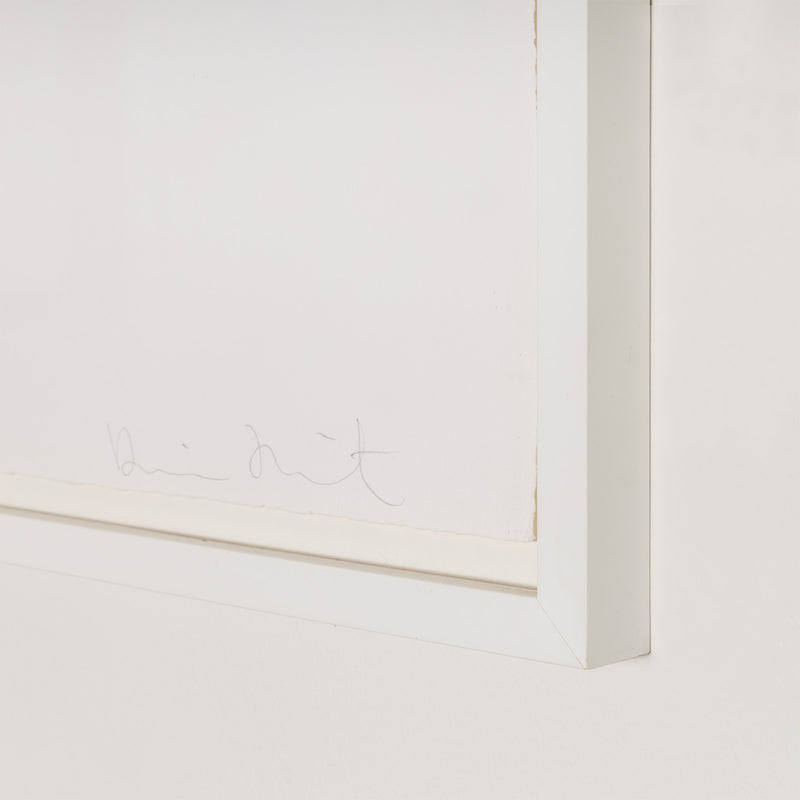 DAMIEN HIRST "RING-A-RING OF ROSES" ETCHING, 2002