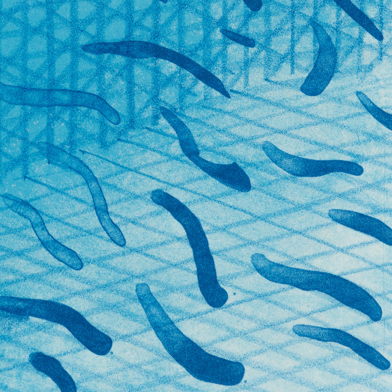 DAVID HOCKNEY "PAPER POOLS" 1980