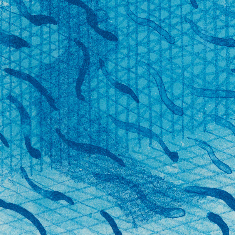 DAVID HOCKNEY "PAPER POOLS" 1980