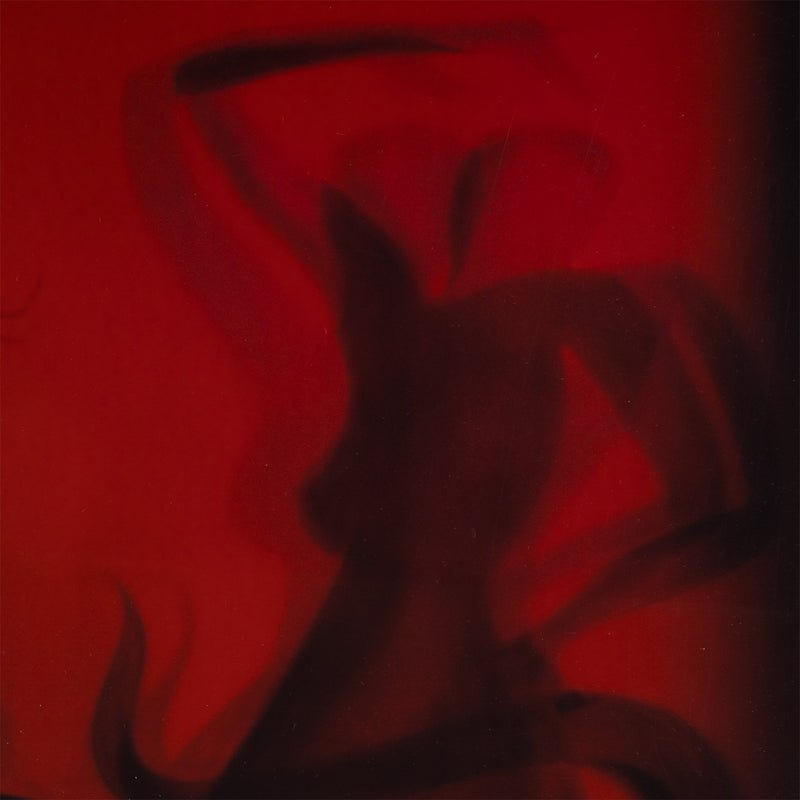 david lachapelle gisele as snake charmer bunchen celebrity photography pop art cobra snake shadow surreal photography 2000 red snake image photo picture iconic american photographer iconic supermodel gisele photography 