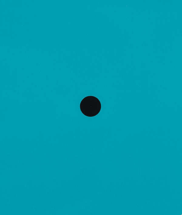 DONALD SULTAN "AQUA TRUMPET" SCREENPRINT, 2011